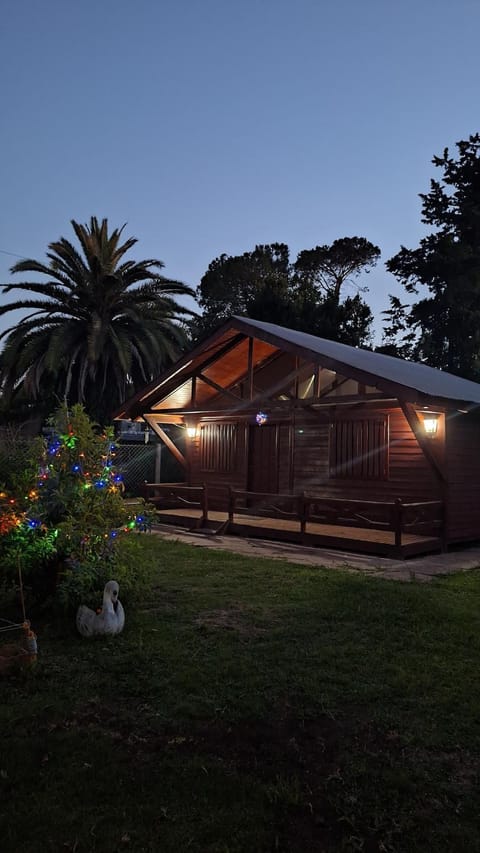 Night, Garden view
