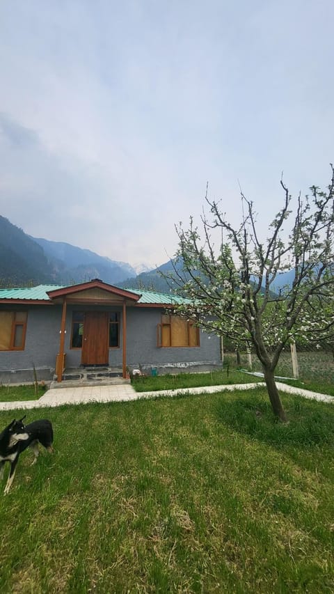 Property building, Mountain view