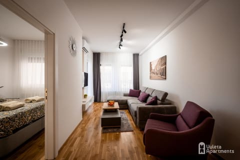 Bed, TV and multimedia, Balcony/Terrace, Living room, Photo of the whole room, Seating area, Bedroom, air conditioner, air conditioner