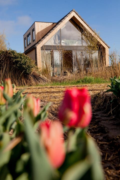 Property building, Spring, Day, Garden, Garden view