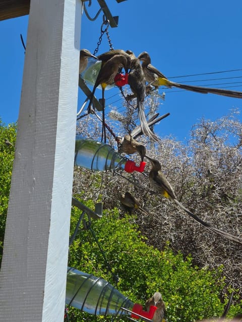 Jamieson Hide Away Vacation rental in Cape Town