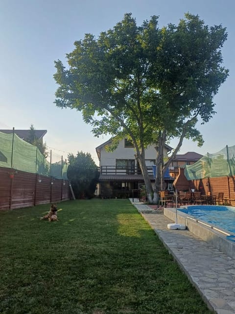 Garden, Swimming pool