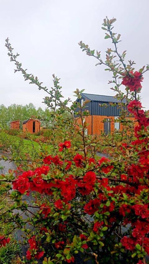 Property building, Garden view