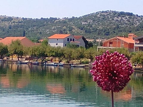 Property building, View (from property/room)