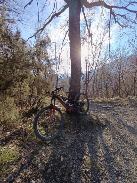 Loano Experience - 70m dal mare Apartment in Loano