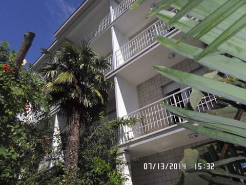 Property building, Summer