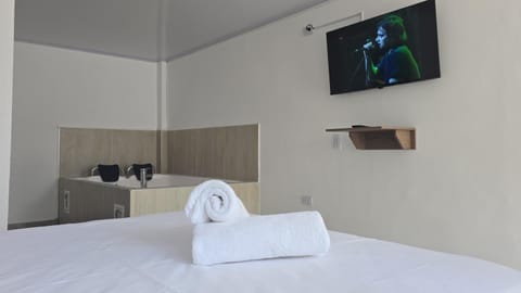 TV and multimedia, Swimming pool, towels