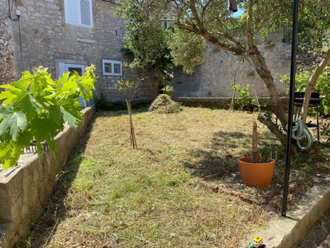 Spring, Day, Garden, Garden view