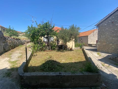 Spring, Day, Garden, Garden view