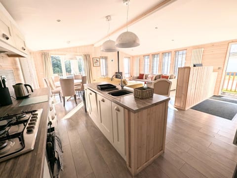 Kitchen or kitchenette, Dining area, dishwasher, oven, stove, toaster