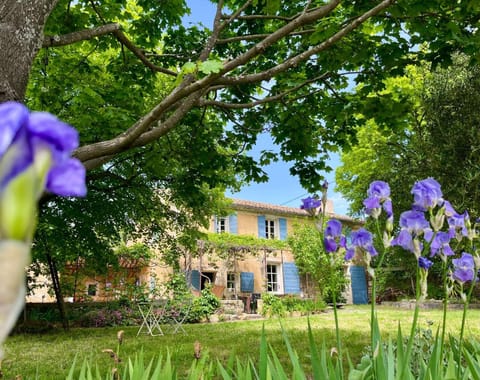 Mas provençal, entre vignes et oliviers House in Lambesc