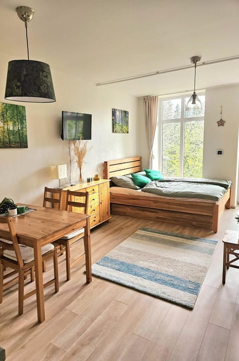 Bed, TV and multimedia, Living room, Photo of the whole room, Seating area, Dining area, Bedroom