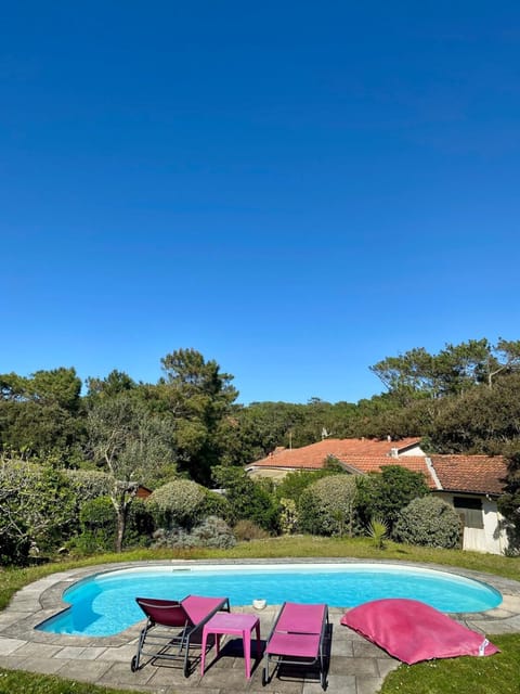 Garden, Garden view, Pool view, Swimming pool, sunbed
