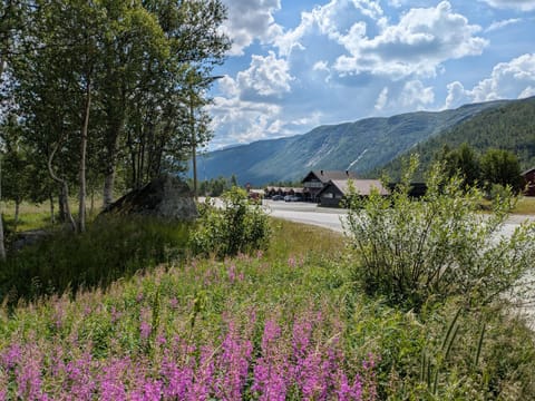 Property building, Neighbourhood, Natural landscape, Mountain view