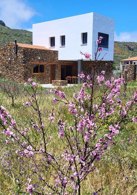 Spring, Garden view