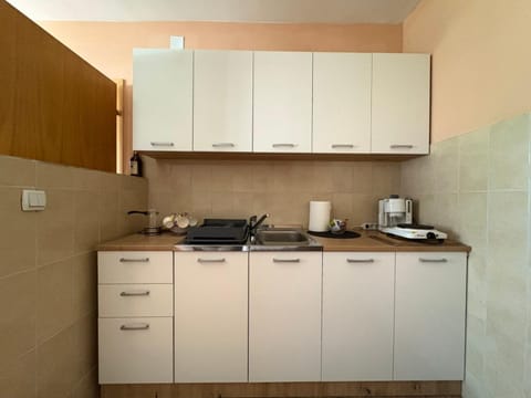 Kitchen or kitchenette, kitchen