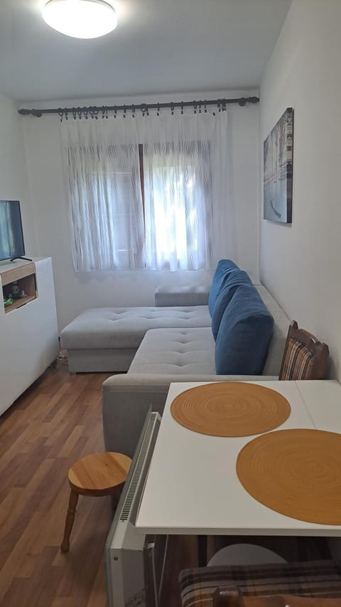 Vikendica Vidik House in Zlatibor District, Serbia