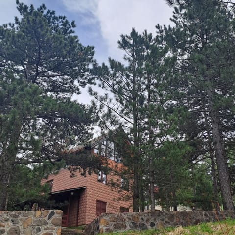 Vikendica Vidik House in Zlatibor District, Serbia