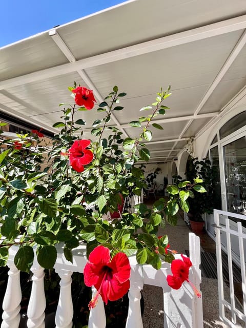 Apartments Gvozdenović Bed and Breakfast in Budva Municipality