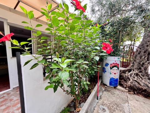 Apartments Gvozdenović Bed and Breakfast in Budva Municipality