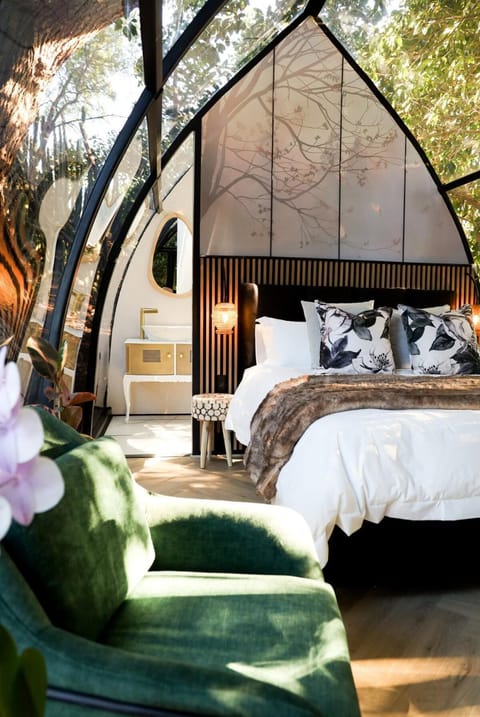 De Nest - Clear Glass Tree Cabin Cabin in Western Cape
