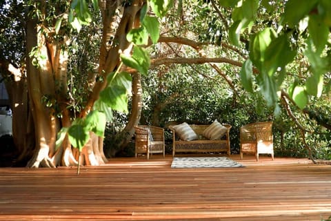 De Nest - Clear Glass Tree Cabin Cabin in Western Cape