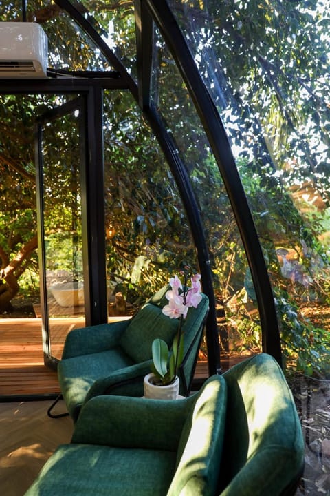 De Nest - Clear Glass Tree Cabin Cabin in Western Cape