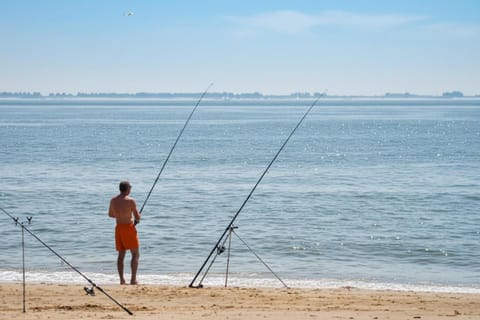 Seaside Stay High-Speed Wi-Fi Bed and Breakfast in Zoutelande