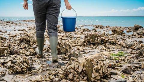 Beachside Room for 2 - Close to the shore Apartment in Zoutelande