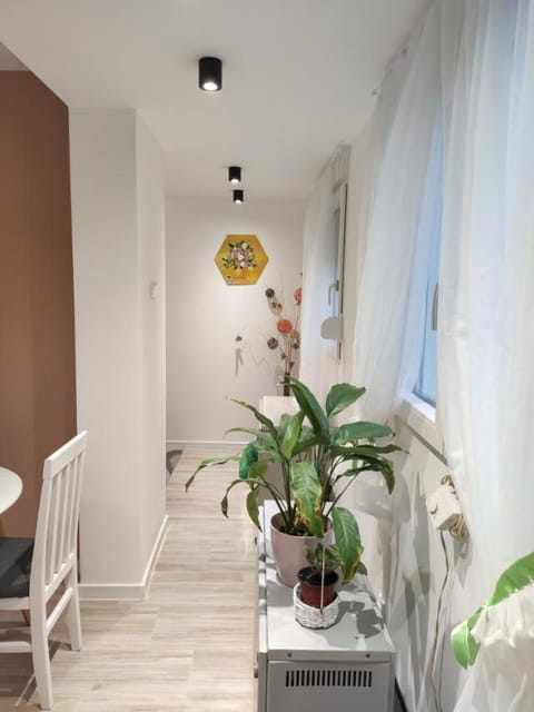 KS Studio 2 Apartment in Belgrade