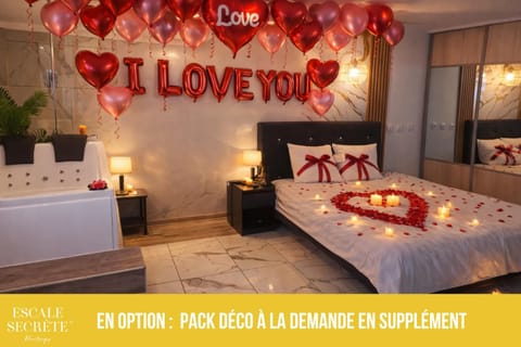 Escale secrète Montargis Jacuzzi Terrasse Parking gratuit Apartment in Centre-Val de Loire