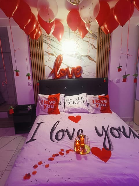 Escale secrète Montargis Jacuzzi Terrasse Parking gratuit Apartment in Centre-Val de Loire