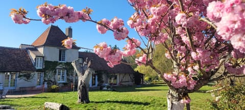 Property building, Spring, Garden, Garden view