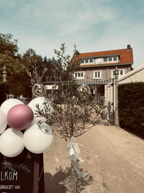 Guesthouse 't Goed Leven Bed and Breakfast in Flanders