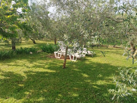 Holiday house House in Medulin