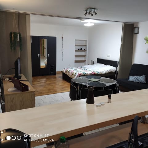 Bed, Living room, Photo of the whole room, Seating area, Dining area, Bedroom