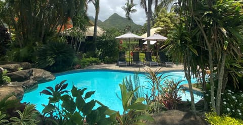 Activities, Bird's eye view, Garden, Garden view, Mountain view, Pool view, Swimming pool, sunbed