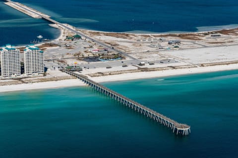 Palm Tree Paradise by Gulf Coast Getaways House in Pensacola Beach