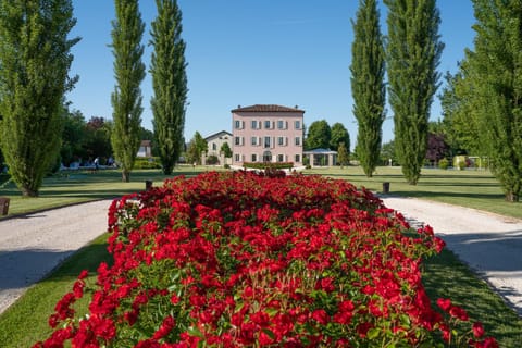 Cattania Suites and Rooms Bed and Breakfast in Modena