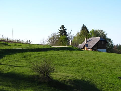 Property building, Spring, Day, Natural landscape, Garden view
