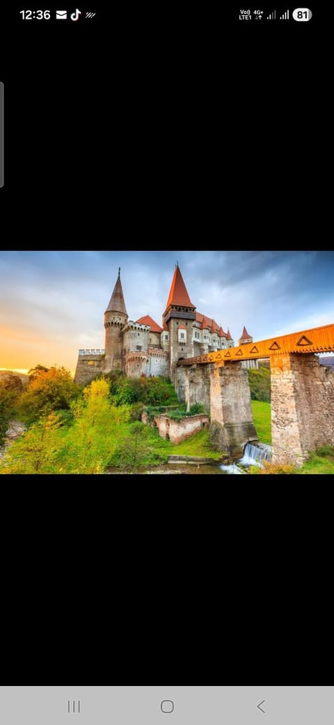 Mady STUDIO Apartment in Serbia