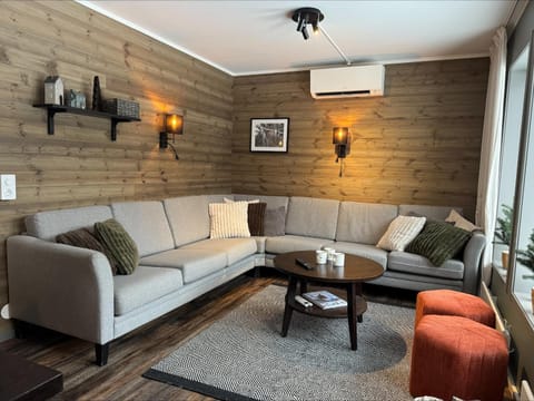 Living room, air conditioner