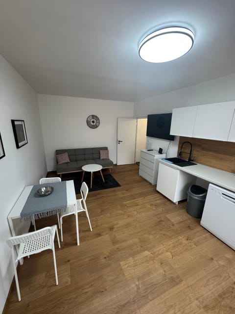 Kitchen or kitchenette, Living room, Dining area, oven