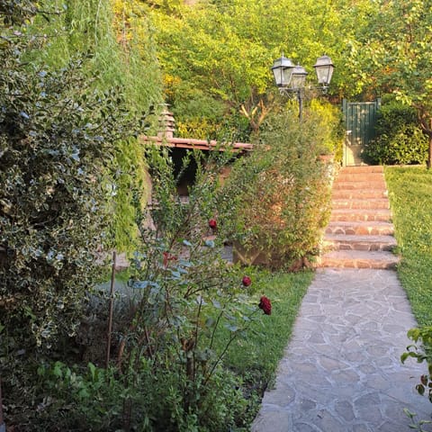 Garden, Garden