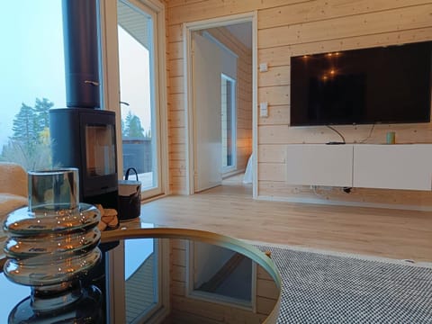 Karhunpesä Villa in Lapland