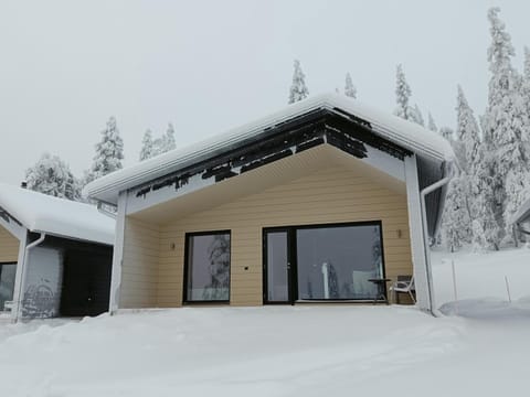 Karhunpesä Villa in Lapland
