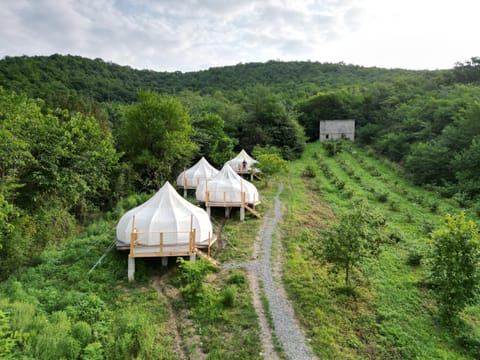 Natural landscape