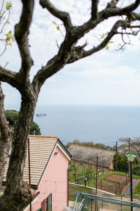 Natural landscape, Sea view