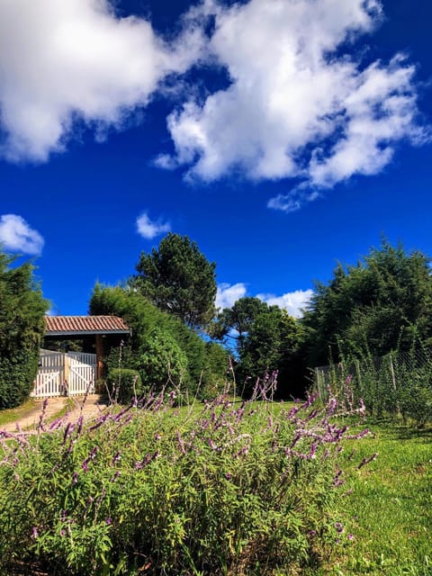 Day, Natural landscape, Garden, Garden view