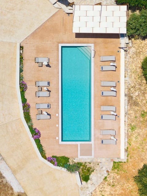 Day, Bird's eye view, Pool view, Swimming pool, sunbed